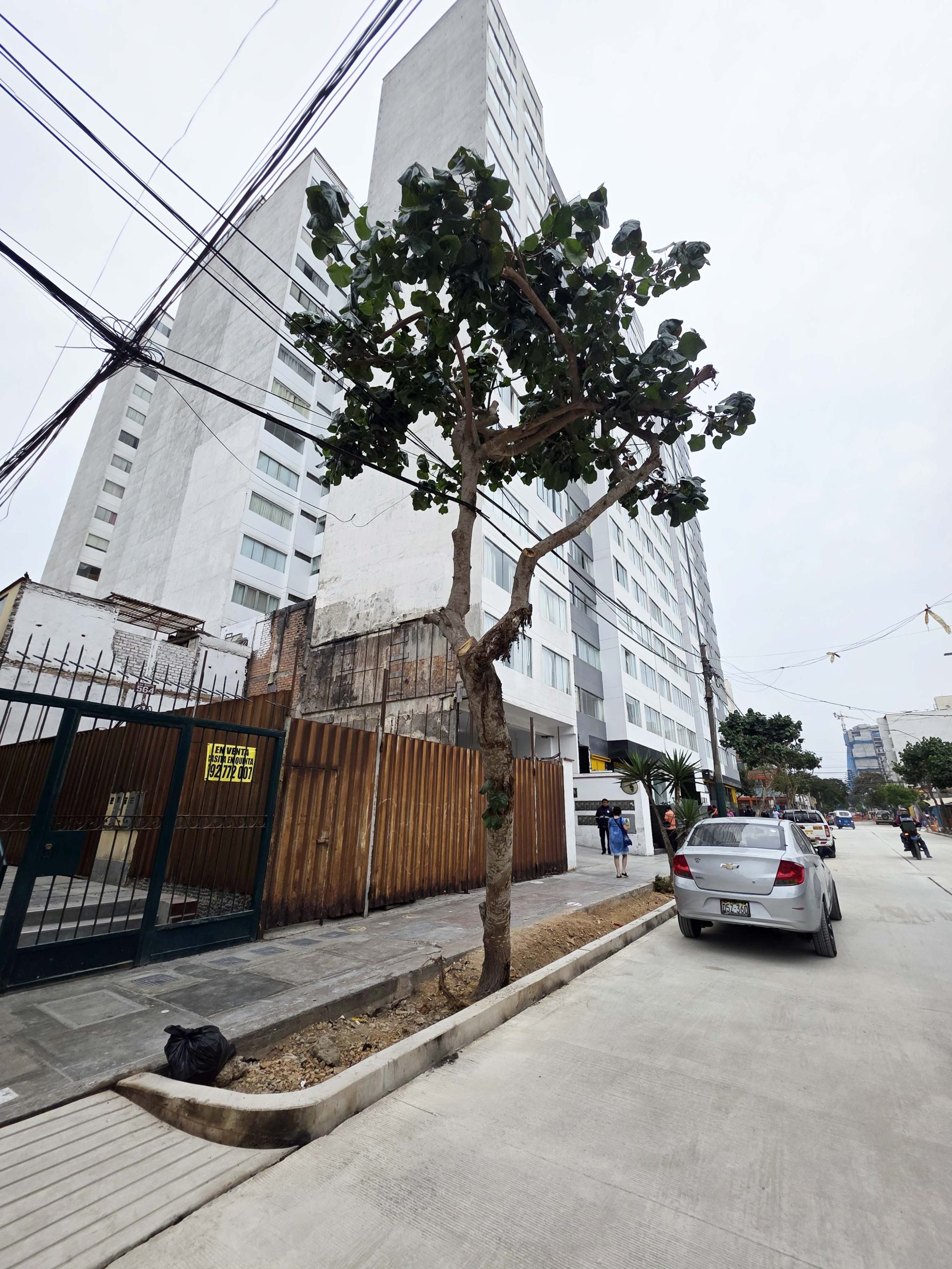 Evaluación de árbol