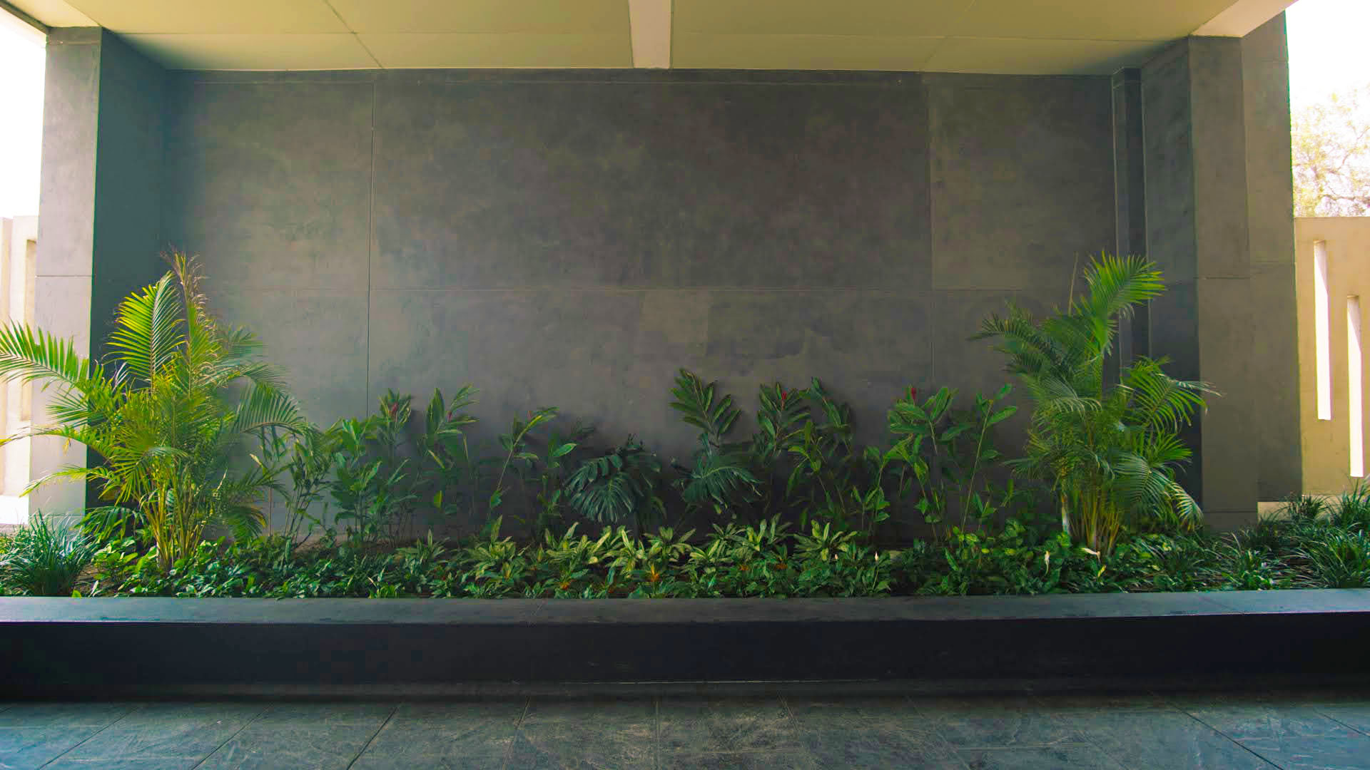 siembra de plantas proyecto de interior