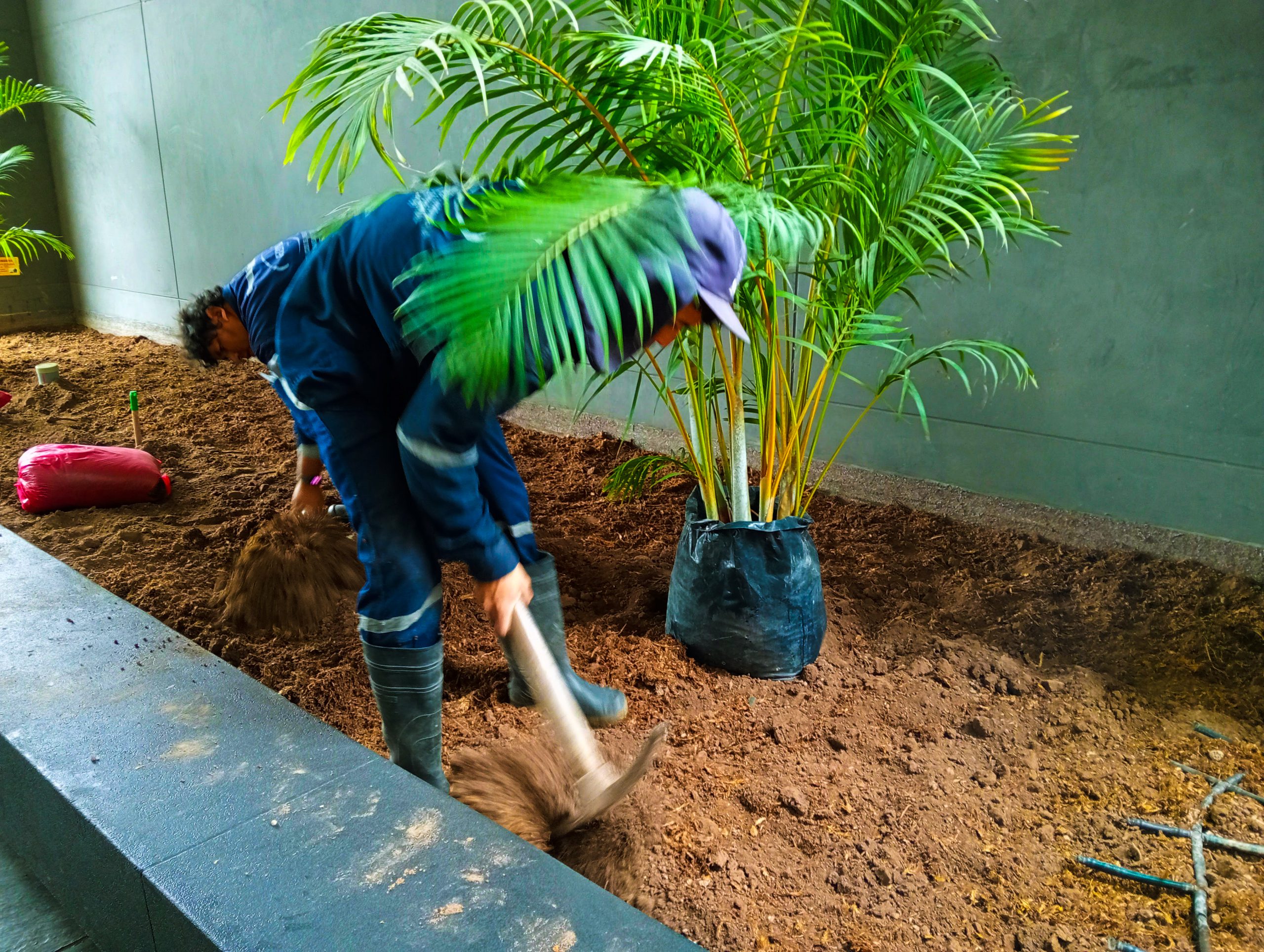 Ejecución Paisajística en Obra jardin interior oficina